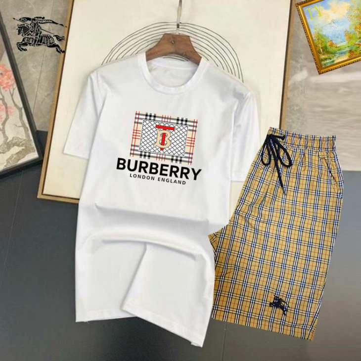 Picture of Burberry Shirt Pant Suits _SKUBurberryM-3XL25tn11920303